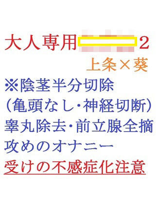 大人専用〇〇〇２