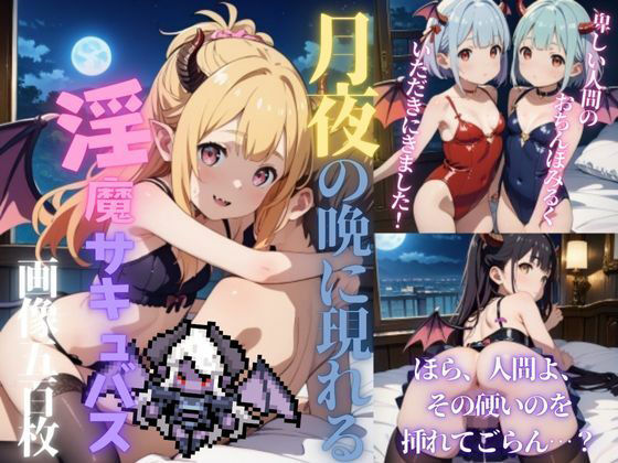 月夜の晩に現れる淫魔サキュバス＜ドーン！と500枚＞【貧乳っ子倶楽部】